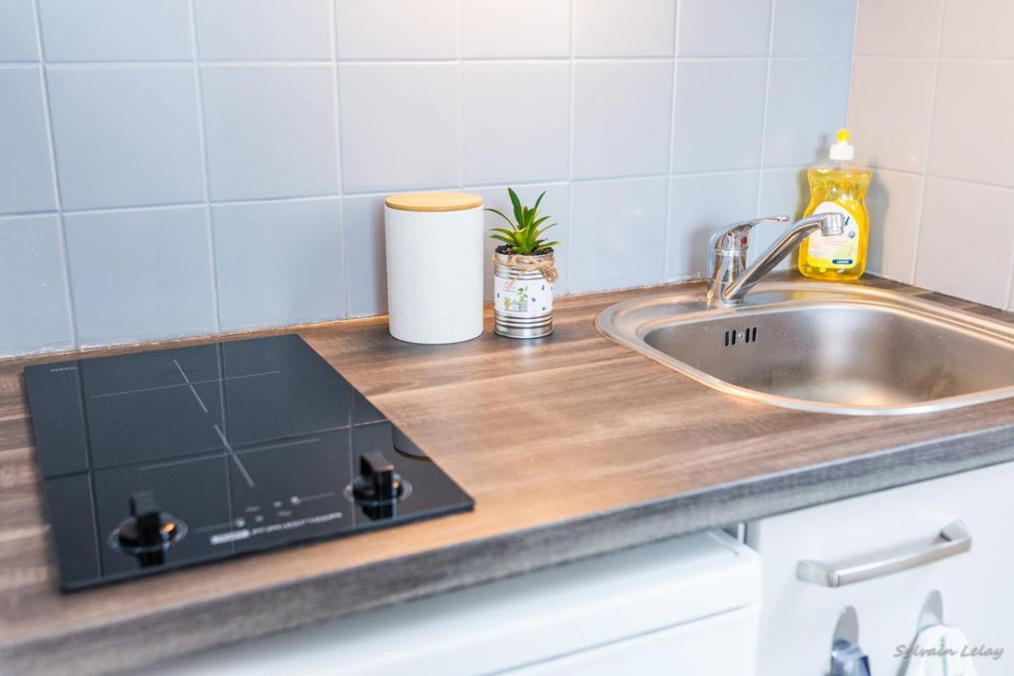 Appartement T2 - Proche Gare - Bord De Vilaine Rennes Eksteriør billede